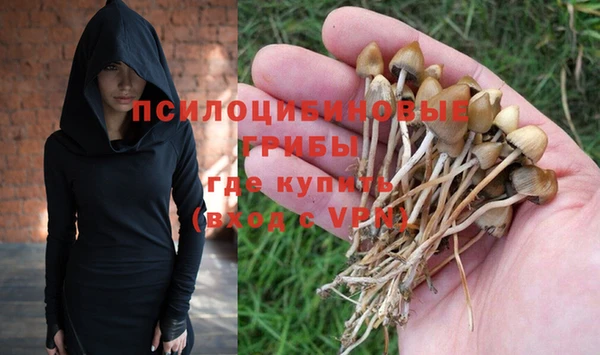 прущие крисы Няндома