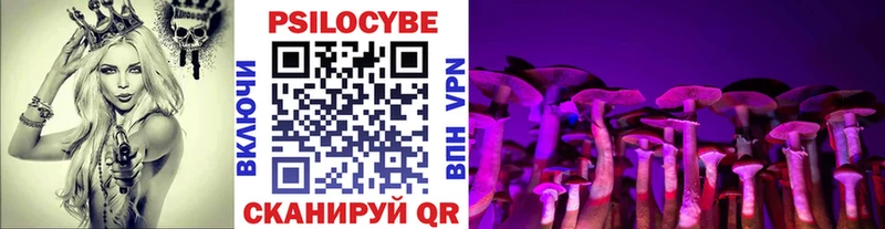 Псилоцибиновые грибы прущие грибы закладки Калининск