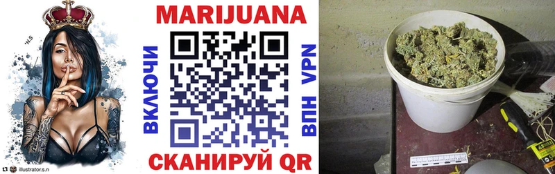 дарк нет телеграм  Калининск  Конопля сатива 